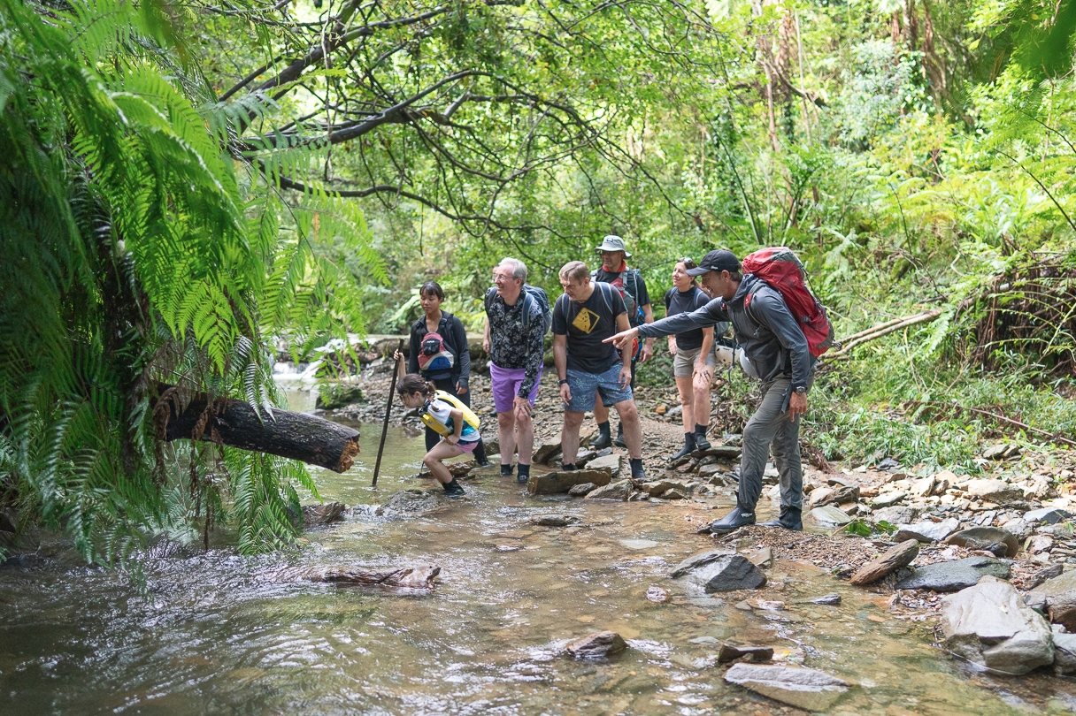 Jungle trekking in Yanbaru, Okinawa